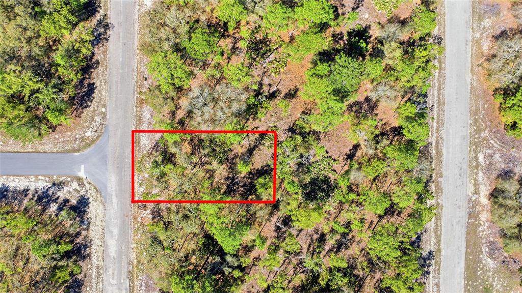 1877 West Pendleton Street Dunnellon, FL 34434 - Photo 1 of 12