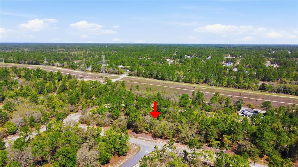 1877 West Pendleton Street Dunnellon, FL 34434 - Photo 11 of 12