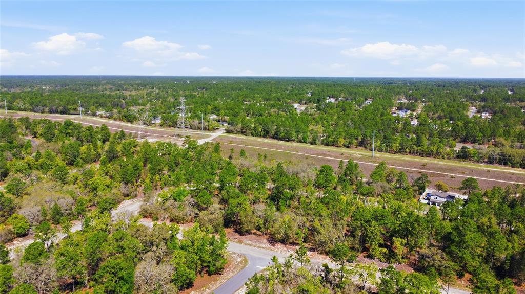 1877 West Pendleton Street Dunnellon, FL 34434 - Photo 12 of 12