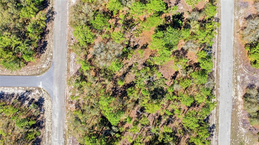 1877 West Pendleton Street Dunnellon, FL 34434 - Photo 2 of 12