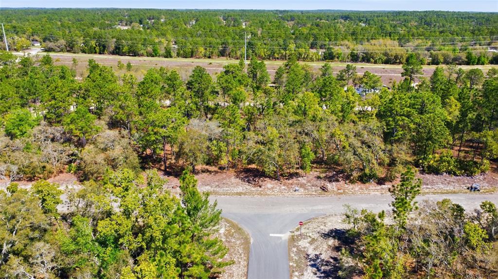 1877 West Pendleton Street Dunnellon, FL 34434 - Photo 3 of 12