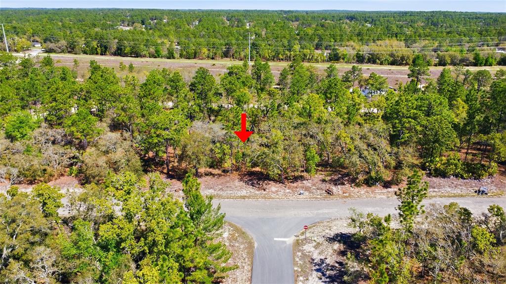 1877 West Pendleton Street Dunnellon, FL 34434 - Photo 4 of 12