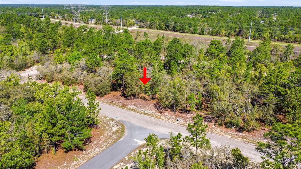 1877 West Pendleton Street Dunnellon, FL 34434 - Photo 6 of 12