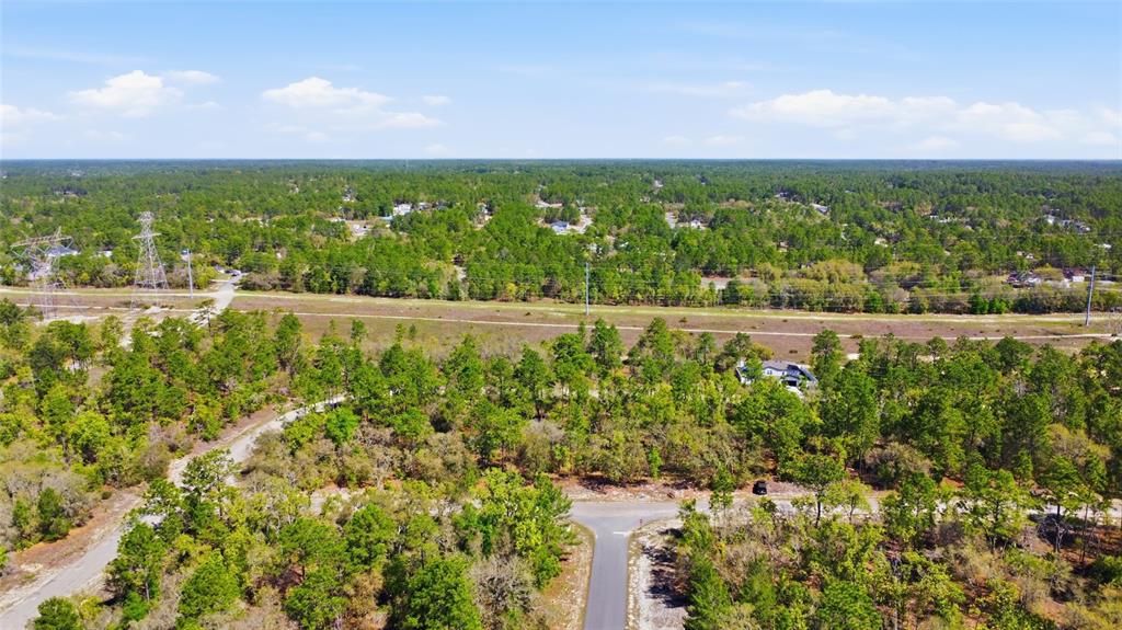 1877 West Pendleton Street Dunnellon, FL 34434 - Photo 7 of 12