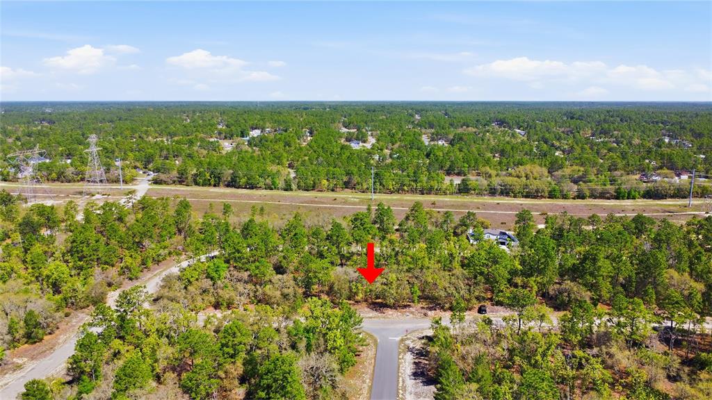 1877 West Pendleton Street Dunnellon, FL 34434 - Photo 8 of 12