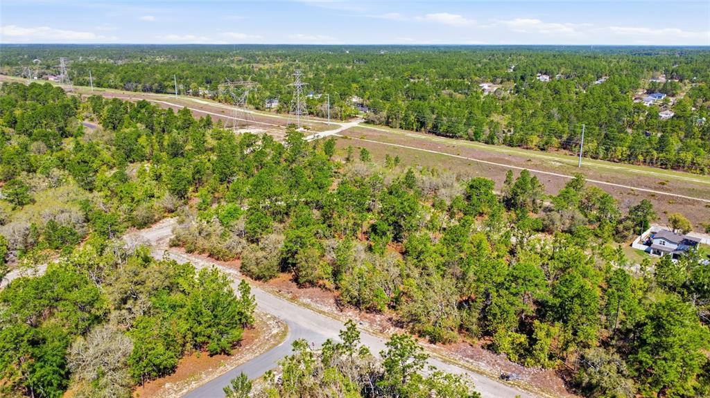 1877 West Pendleton Street Dunnellon, FL 34434 - Photo 9 of 12