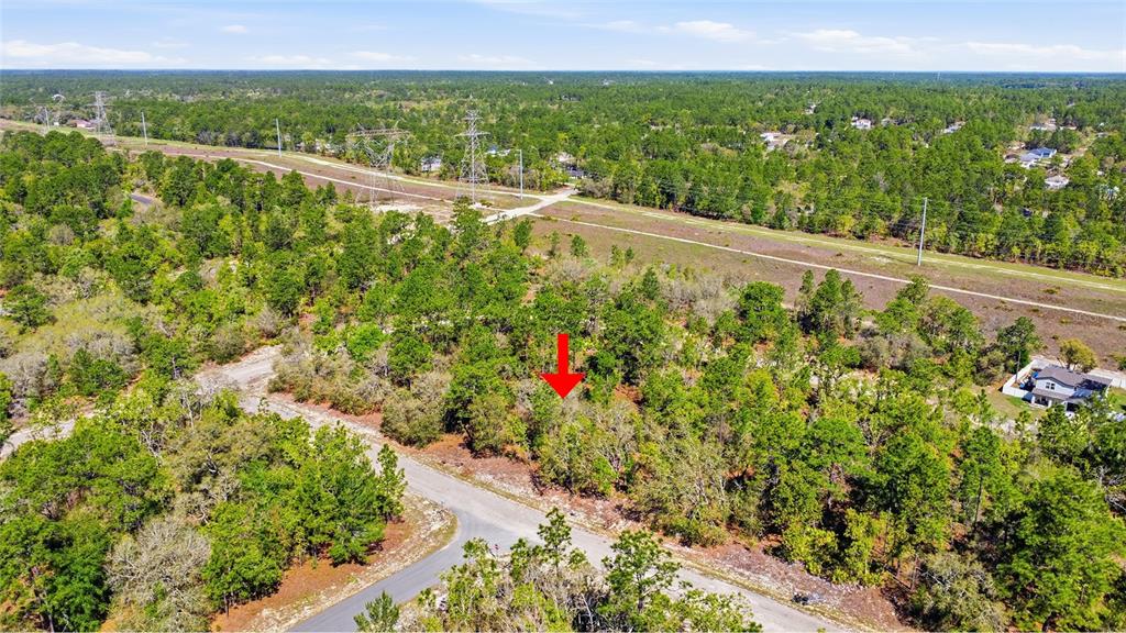 1877 West Pendleton Street Dunnellon, FL 34434 - Photo 10 of 12