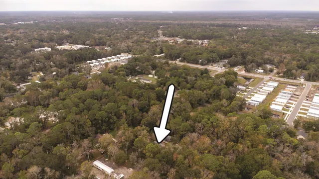 a view of a city with lush green forest