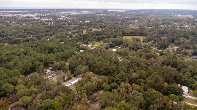 an aerial view of forest