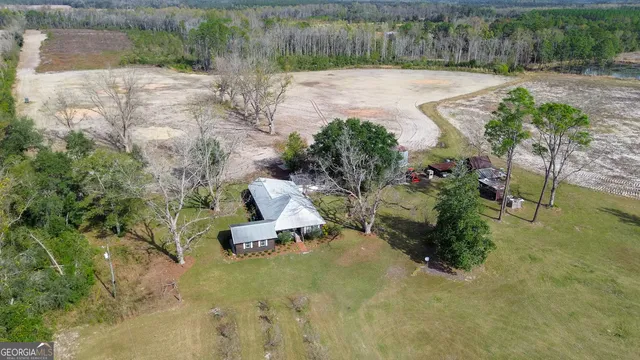 a view of a garden with a bench