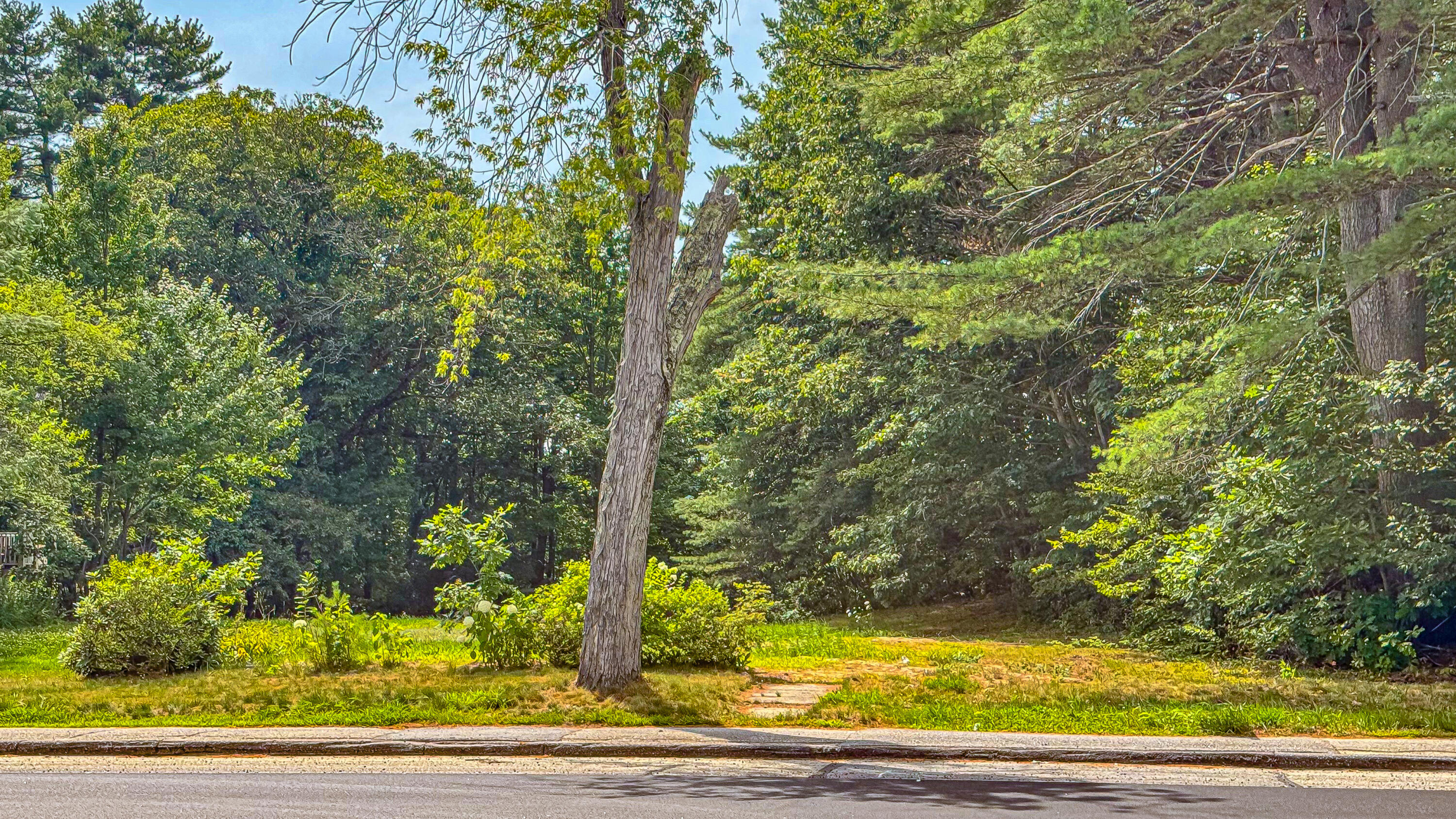 67 Portland Road Bridgton, ME 04009 - Photo 7 of 17 67 portland road-24