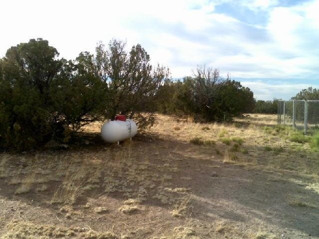 St-johns Az 85936 Ranch, Unit 2 St. Johns, AZ 85936 - Photo 18 of 23