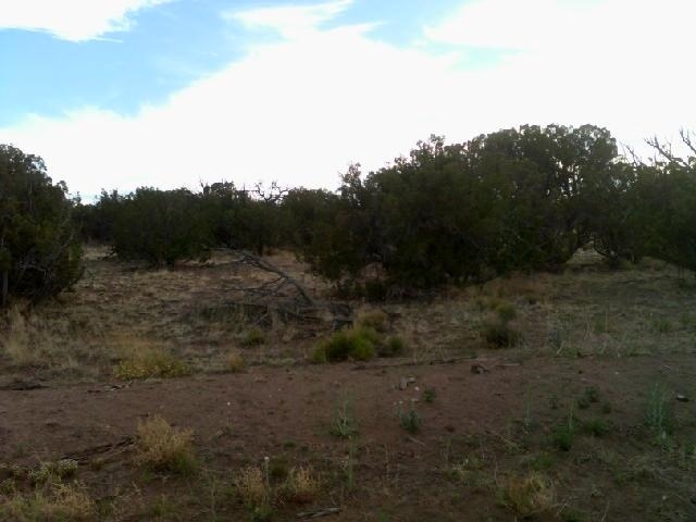 St-johns Az 85936 Ranch, Unit 2 St. Johns, AZ 85936 - Photo 19 of 23