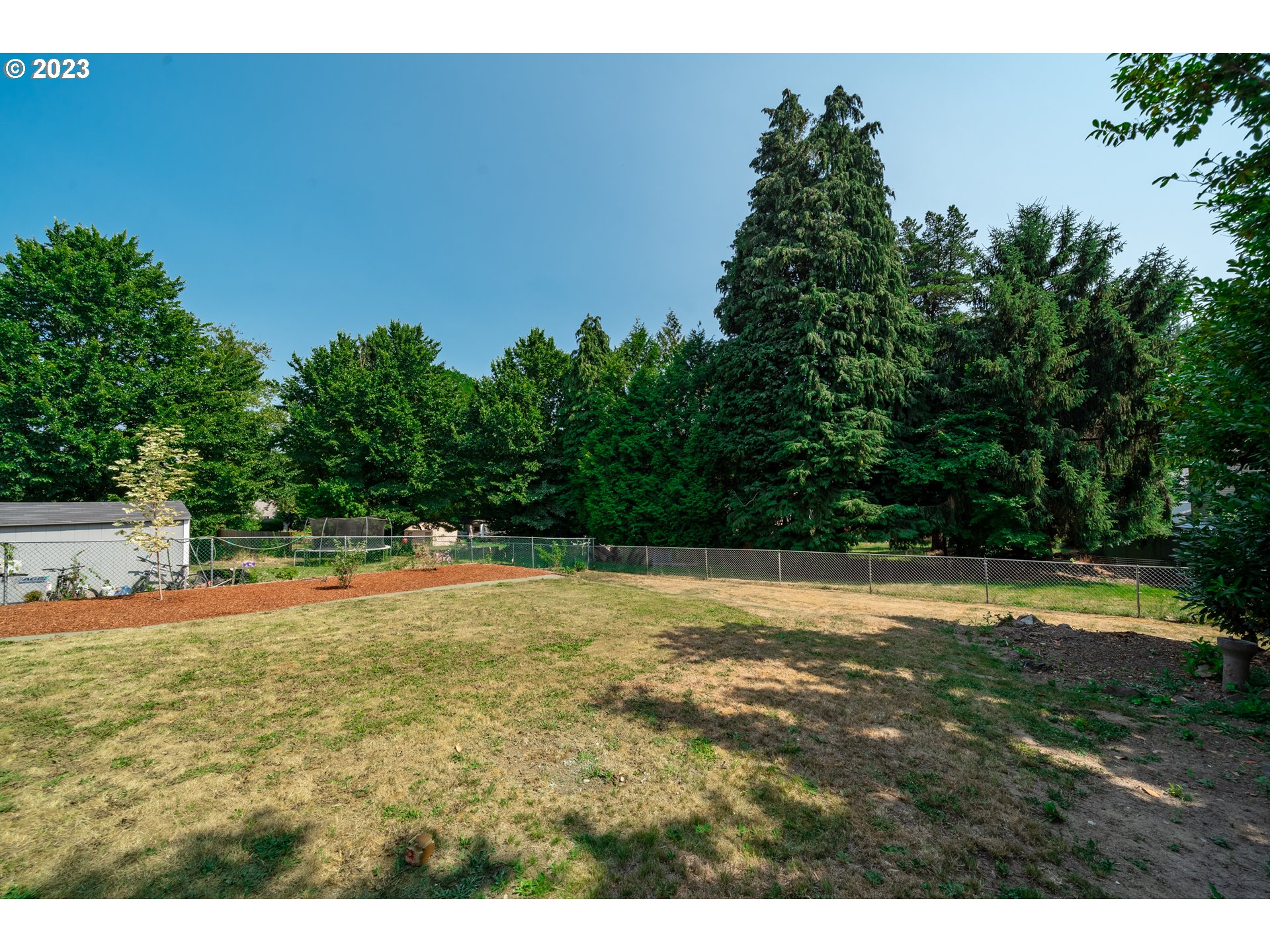 914 Northwest 7th Avenue Camas, WA 98607 - Photo 23 of 26 a view of a yard with a tree