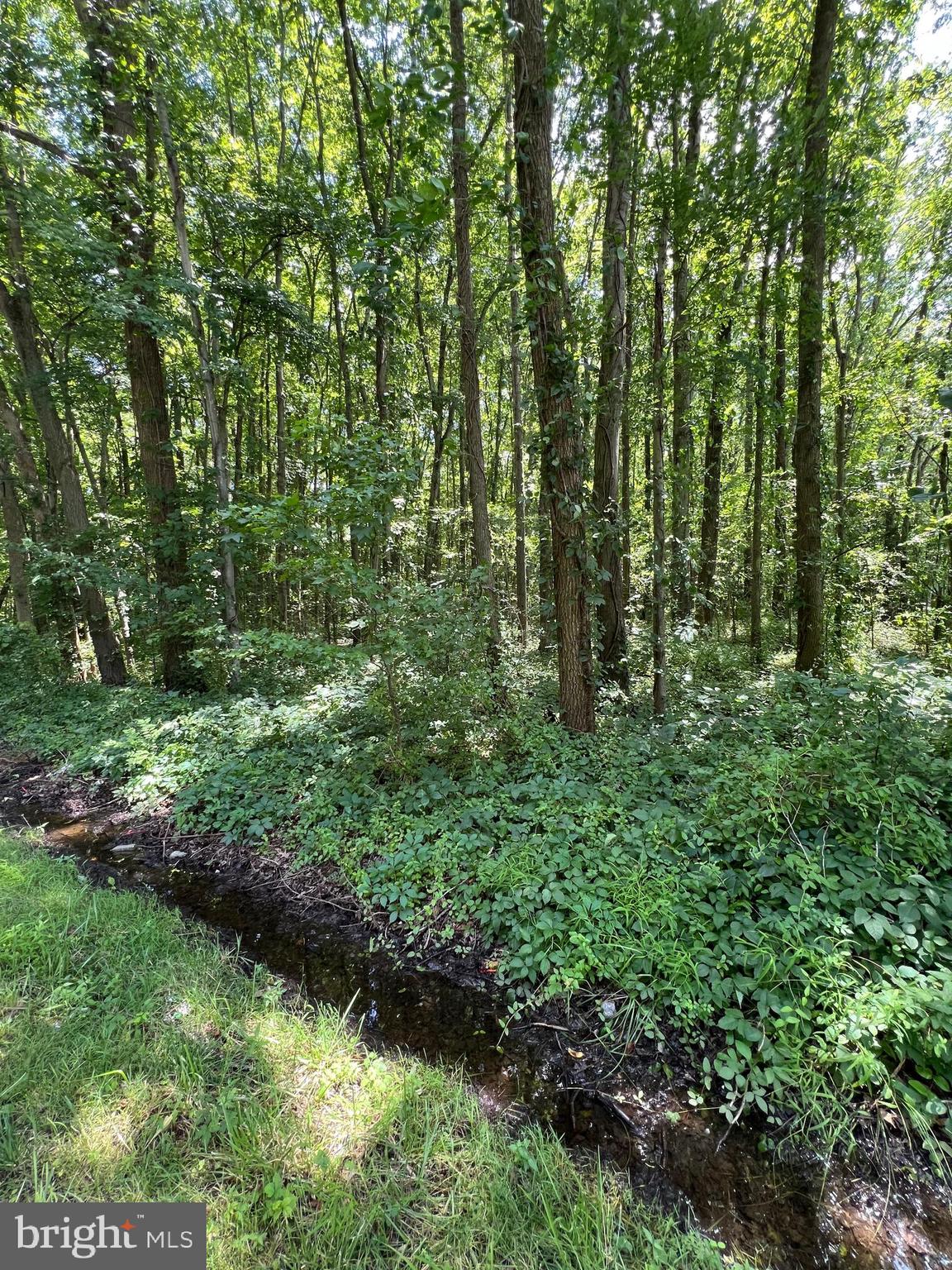 Tbd Halltown Road, Unit 3 Hartly, DE 19953 - Photo 4 of 4 a view of a garden