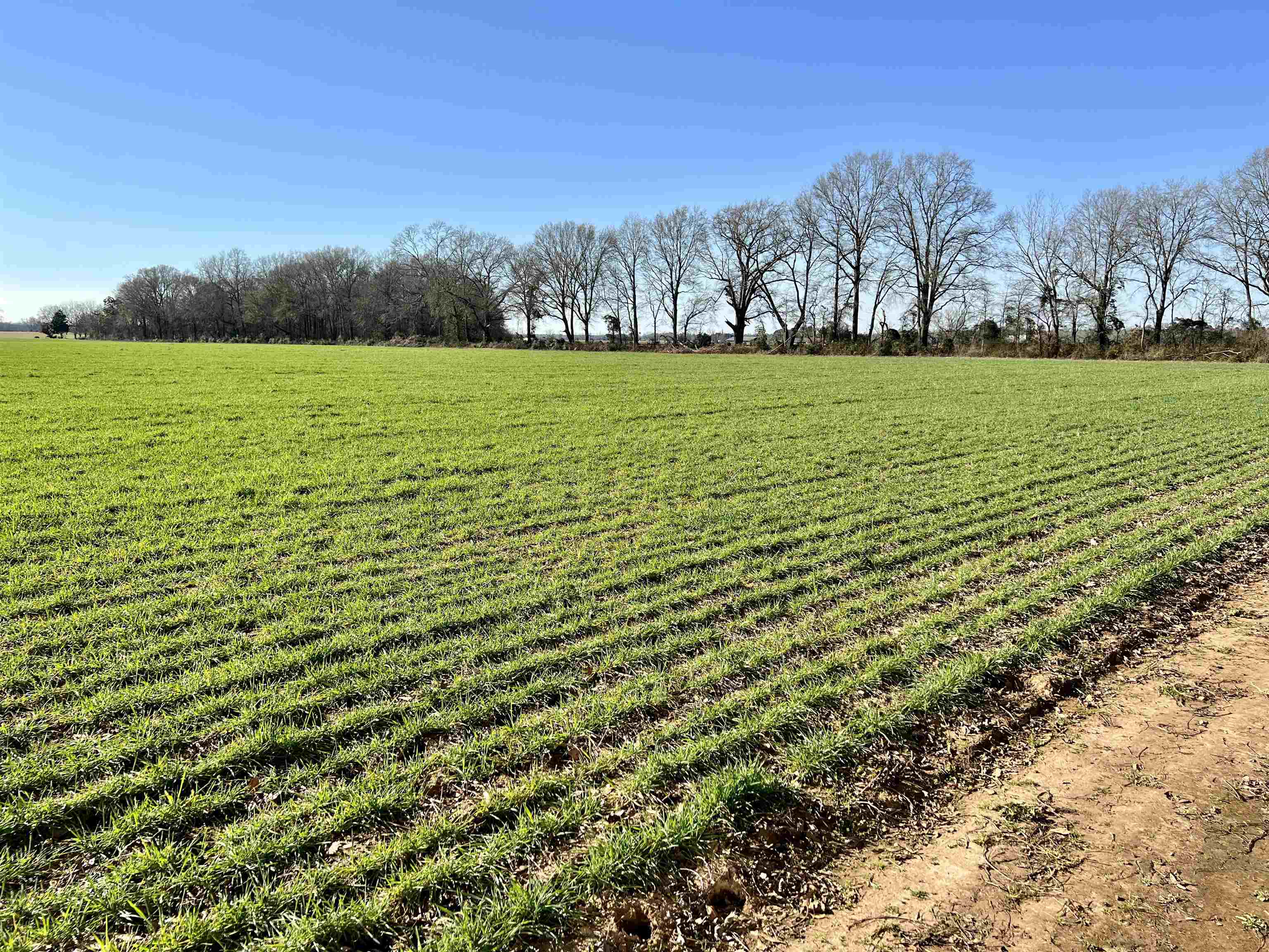 0 Country Road Atmore, AL 36502 - Photo 7 of 27