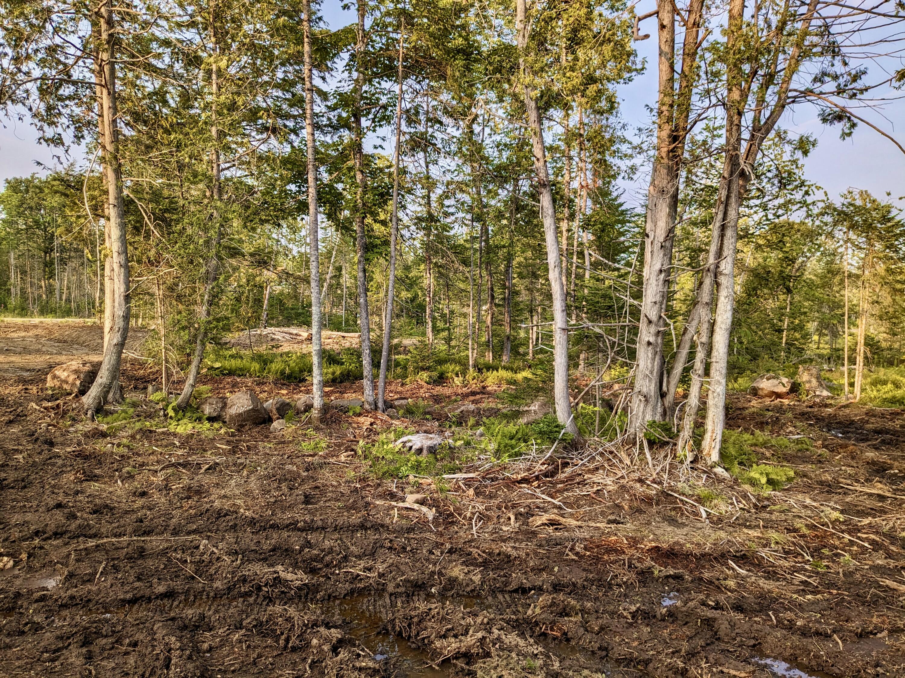 11 Hammond Brook Road Monson, ME 04464 - Photo 8 of 9