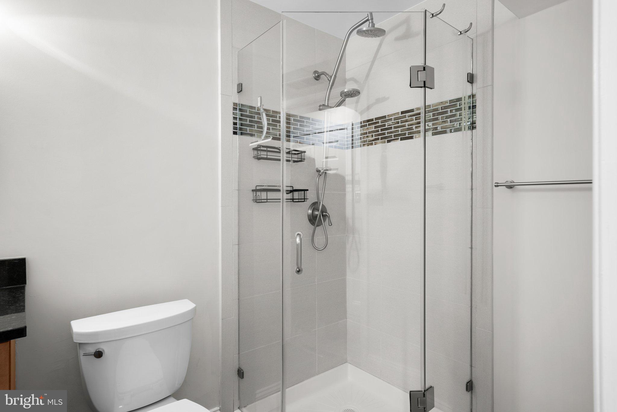 3106 Russell Road Alexandria, VA 22305 - Photo 50 of 62 with shower