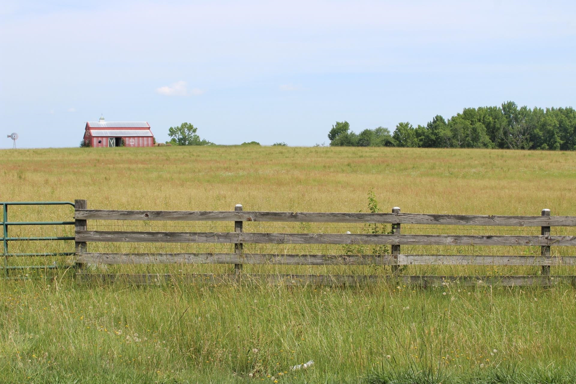 Lot 4 Ted Smith Road Rutherfordton, NC 28139 - Photo 24 of 28