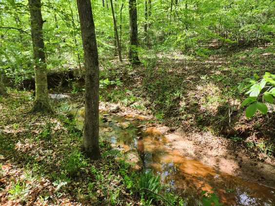 7.03-acres Leroy Road Fair Play, SC 29643 - Photo 11 of 16