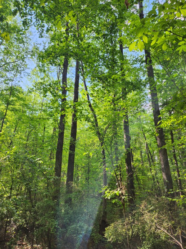 7.03-acres Leroy Road Fair Play, SC 29643 - Photo 15 of 16