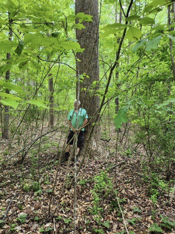 7.03-acres Leroy Road Fair Play, SC 29643 - Photo 16 of 16