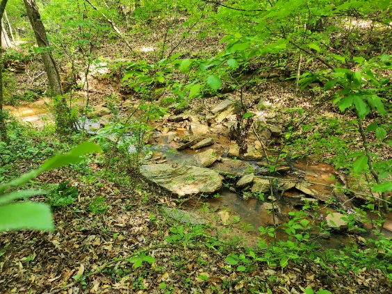 7.03-acres Leroy Road Fair Play, SC 29643 - Photo 4 of 16