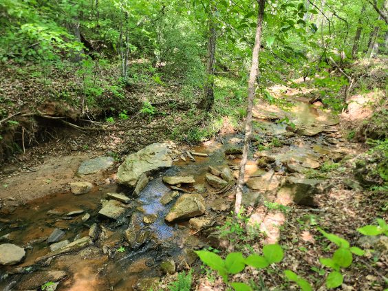 7.03-acres Leroy Road Fair Play, SC 29643 - Photo 6 of 16