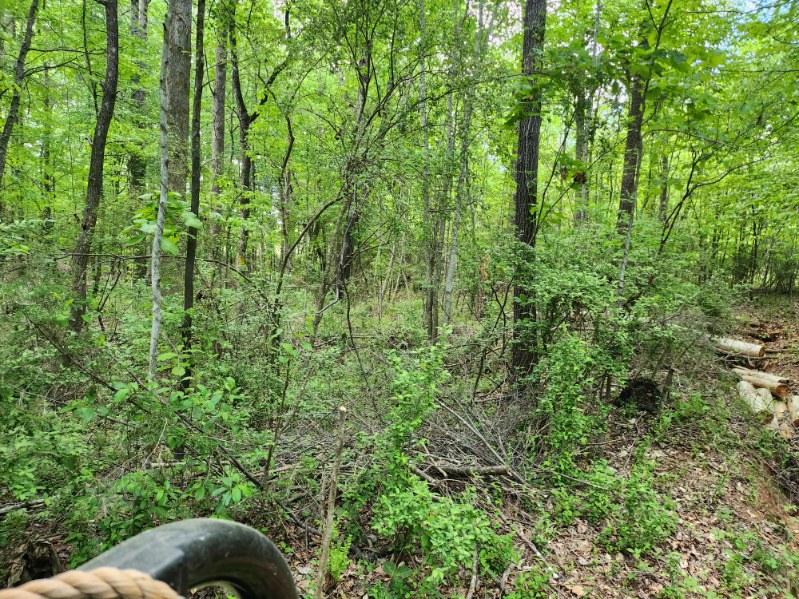 7.03-acres Leroy Road Fair Play, SC 29643 - Photo 7 of 16