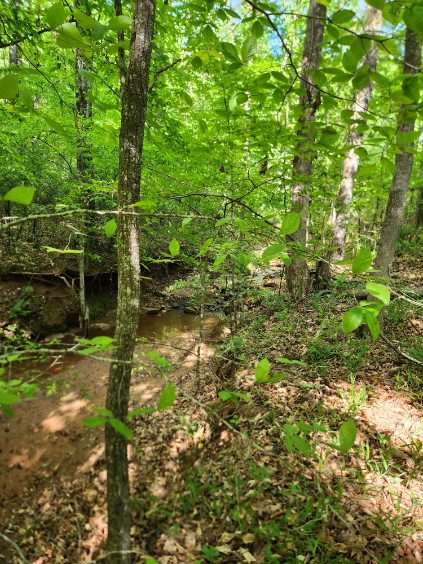 7.03-acres Leroy Road Fair Play, SC 29643 - Photo 8 of 16