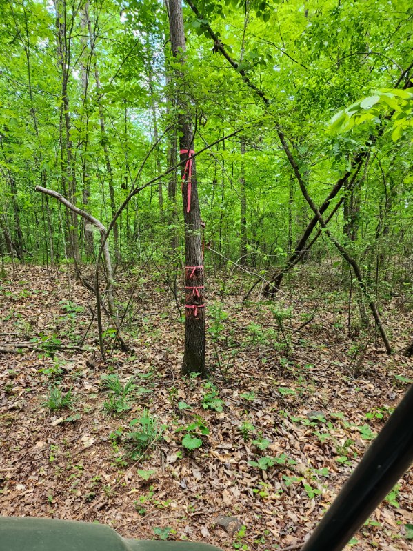 7.03-acres Leroy Road Fair Play, SC 29643 - Photo 10 of 16 .