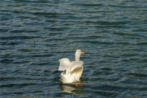 $185,000 | 35109 Highway 79, Unit 254, Warner Springs, CA 92086