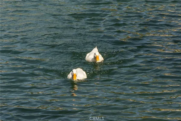 $185,000 | 35109 Highway 79, Unit 254, Warner Springs, CA 92086