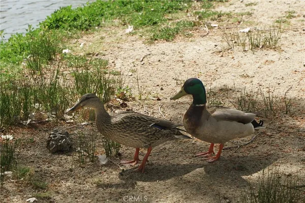 $185,000 | 35109 Highway 79, Unit 254, Warner Springs, CA 92086