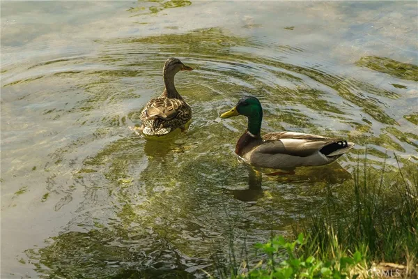 $185,000 | 35109 Highway 79, Unit 254, Warner Springs, CA 92086