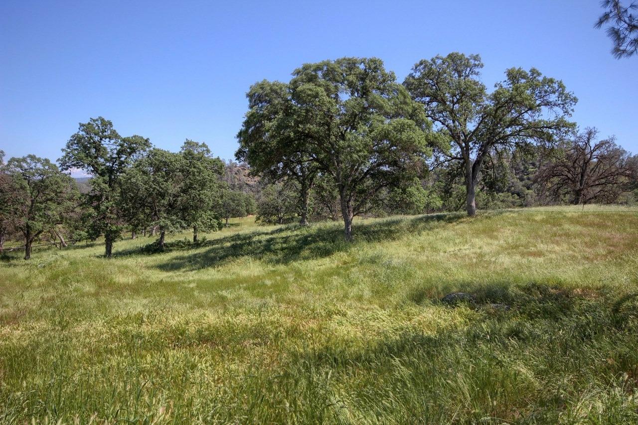 1107 Ben Hur Road Raymond, CA 93653 - Photo 28 of 33 Gallery Image 28