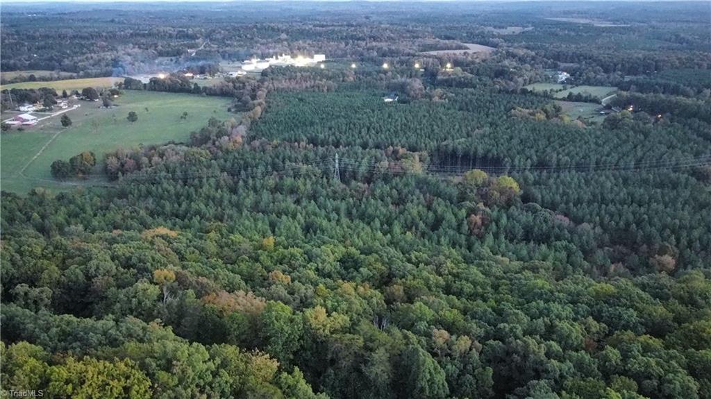 593 Boulder Ridge Drive Denton, NC 27239 - Photo 4 of 10