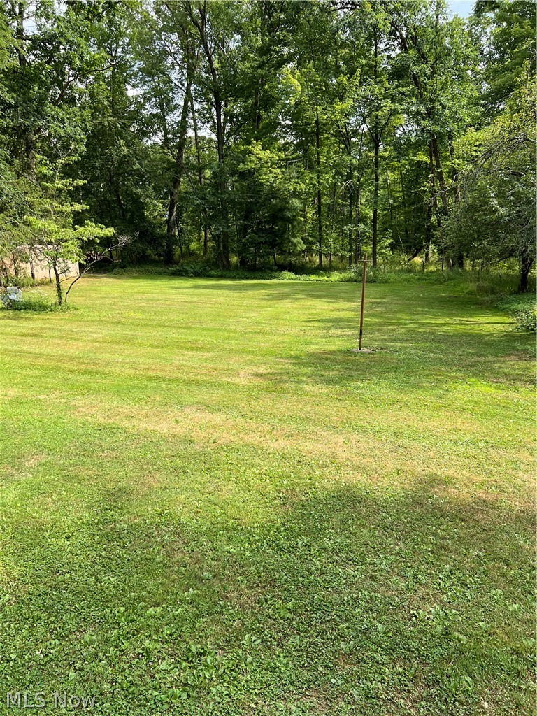 3307 Decamp Road Youngstown, OH 44511 - Photo 21 of 25 Beautiful back yard!