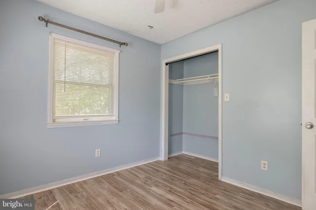 a view of a park with a tree in the background