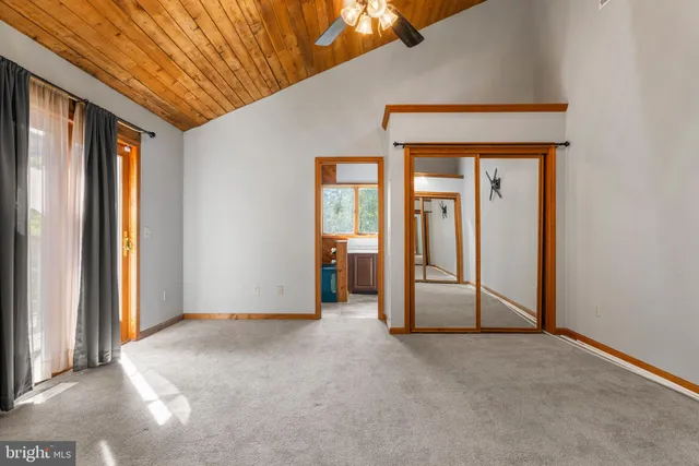 a view of a lush green forest with lots of trees