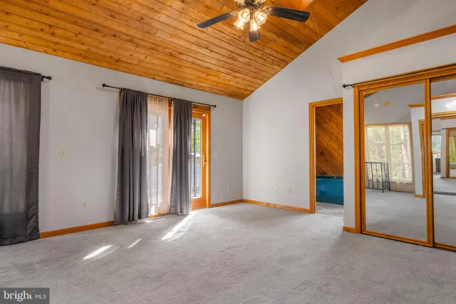 a view of a garden with plants