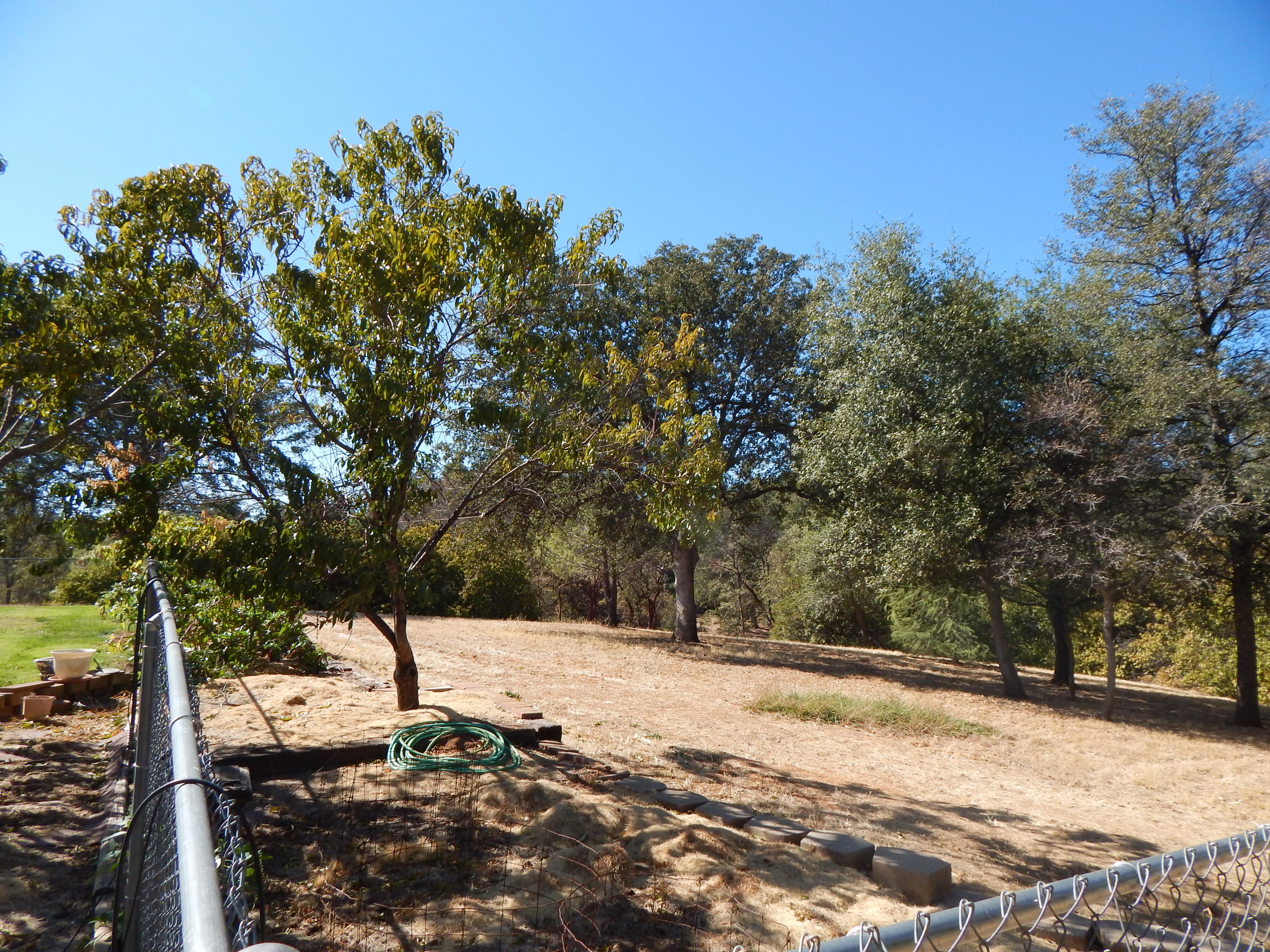 15950 Montgomery Ranch Road Redding, CA 96001 - Photo 65 of 77 DSCN7166