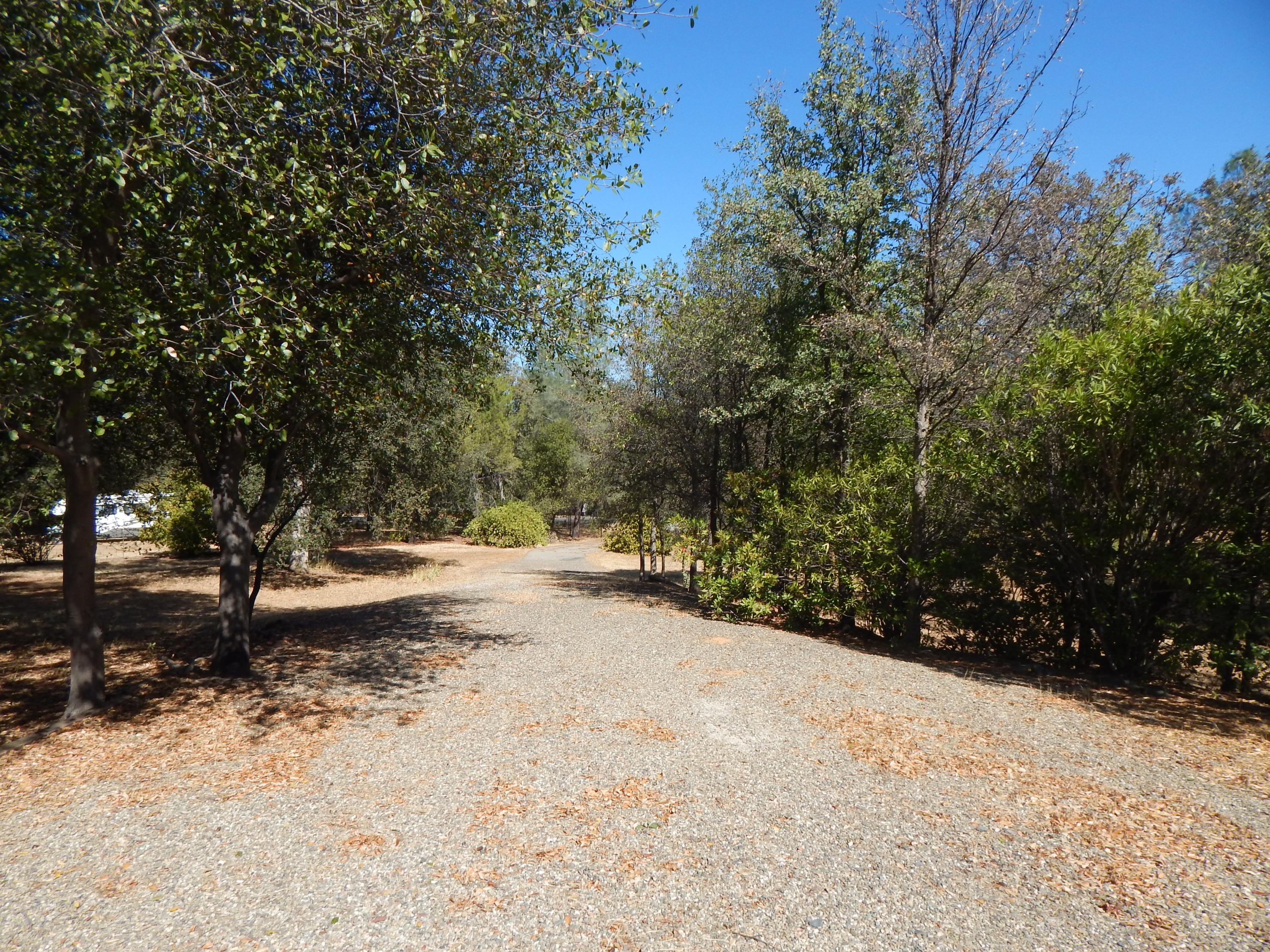 15950 Montgomery Ranch Road Redding, CA 96001 - Photo 68 of 77 DSCN7169