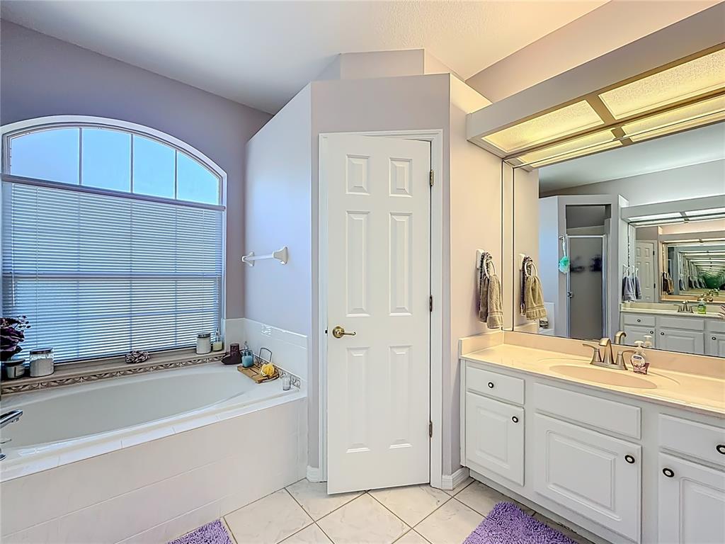 9027 Southwest 196th Court Dunnellon, FL 34432 - Photo 28 of 50 a bathroom with a tub a sink and a mirror