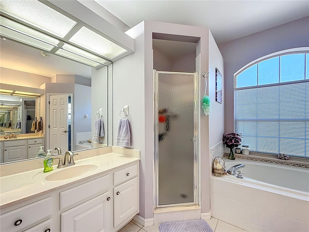 9027 Southwest 196th Court Dunnellon, FL 34432 - Photo 29 of 50 a bathroom with a tub sink and mirror
