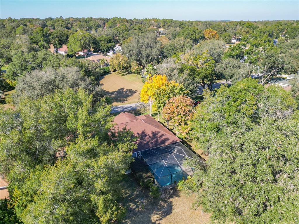 9027 Southwest 196th Court Dunnellon, FL 34432 - Photo 46 of 50 a view of a forest with a yard