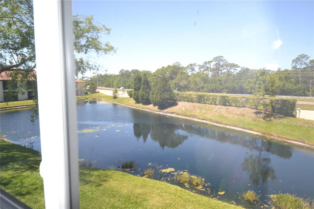 1801 East Lake Road South, Unit 9E Palm Harbor, FL 34685 - Photo 19 of 43