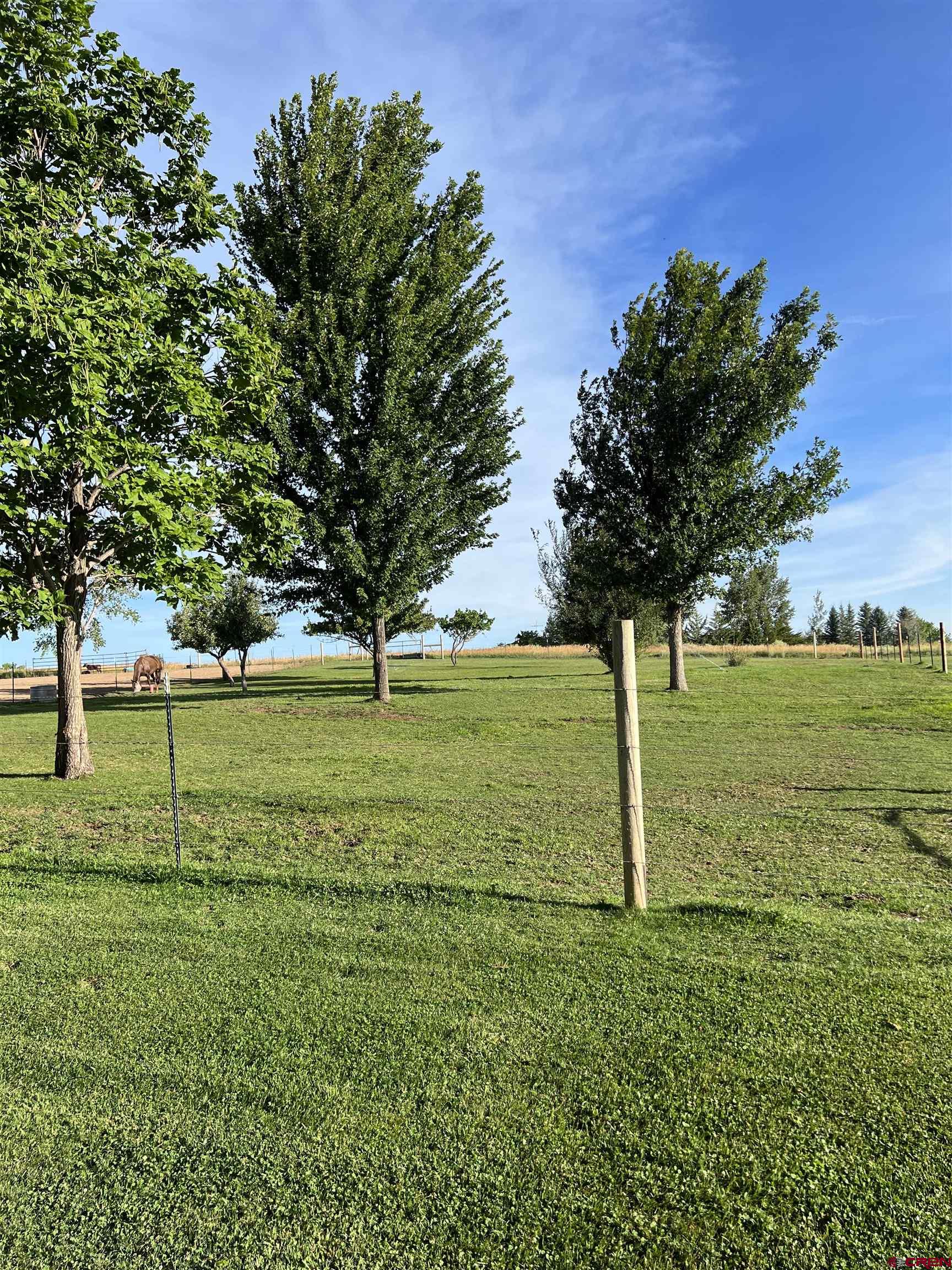 24076 Rd S.8 Dolores, CO 81323 - Photo 23 of 35 Gallery Image 23
