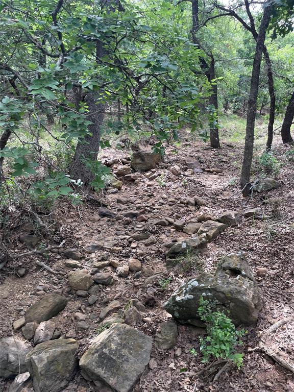 31.09-ac Hoefle Road Jacksboro, TX 76458 - Photo 7 of 33 a view of a forest with trees