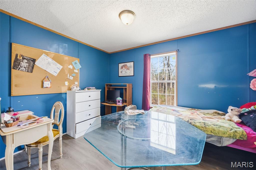 10828 Jayhawk Road Irondale, MO 63648 - Photo 16 of 47